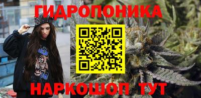стаф Гусев