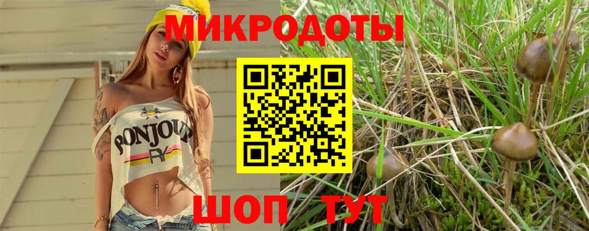 Надым  где купить наркоту  Вход с VPN  Псилоцибиновые грибы мицелий 